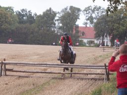 IMG_8348_web
